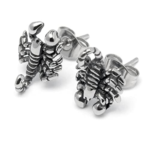 Schmuck-Checker hochwertige Skorpion Ohrstecker aus 316L Edelstahl silber Sternzeichen Kleine Detaillierte Ohrringe Damen Herren Geschenk von Schmuck-Checker