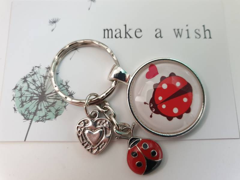 Glücksbringer Marienkäfer Schlüsselanhänger/Geschenk Für Frauen Freundin Geschenkset von Schmuckmariechen