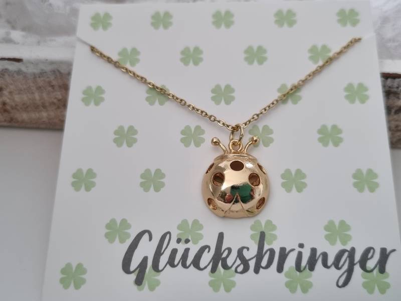 Marienkäfer Kette/Geschenk Für Frauen Freundin Geschenkset von Schmuckmariechen