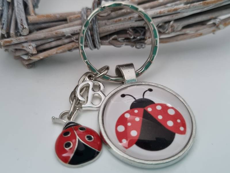 Marienkäfer Schlüsselanhänger Personalisierbar/Geschenk Für Frauen Freundin Geschenkset von Schmuckmariechen