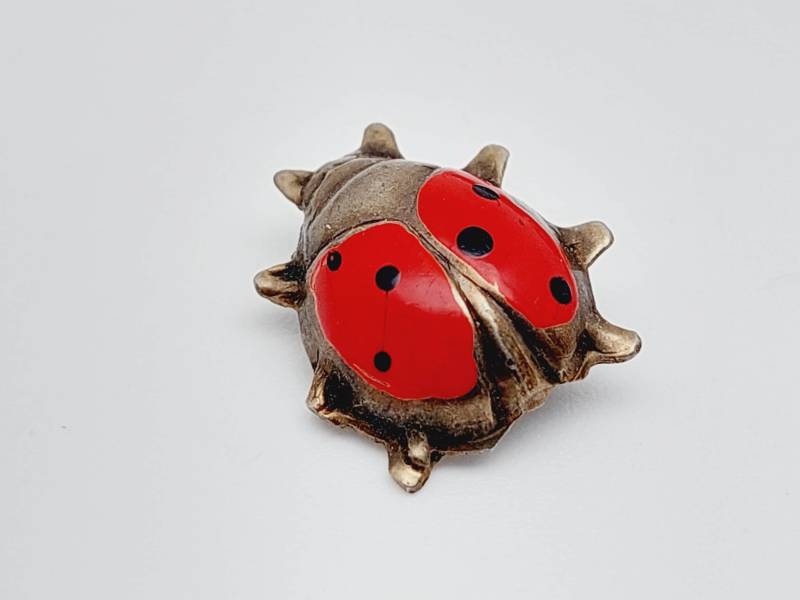 Antike Brosche Jugendstil 1910 835Er Silber Käfer Mit Email von SchmuckparadiesShop