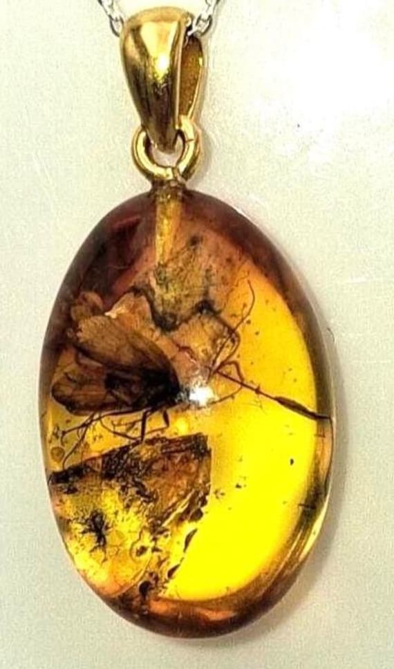 Bernsteinanhänger Mit Urzeitlichem Insekteneinschluss Exklusiv Und Sehr Selten Fliege Oder Anderes Insekt Millionen Alt von Schmucktime