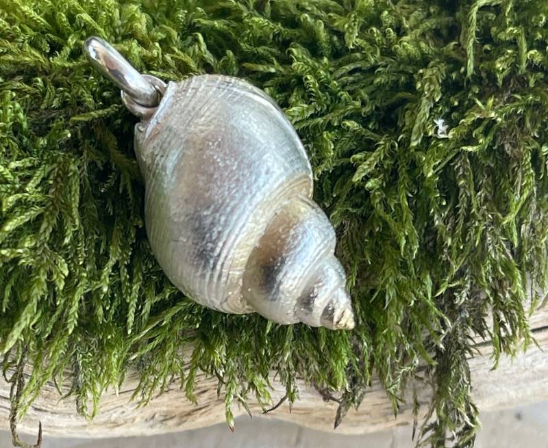 Meeresbrise Formschöne Meeresschnecke Als Anhänger Aus 925 Silber, Massiv Und Elegant von SchmuckundSteine