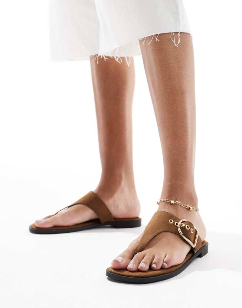 schuh - Teena - Zehenstegsandalen in Braun von Schuh