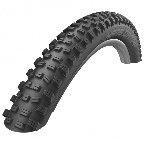 Schwalbe - Hans Dampf Perf. 29'' (60-622) Twinskin FB TLR - Fahrradreifen Gr 29'' x 2,35'' - 60-622 von Schwalbe