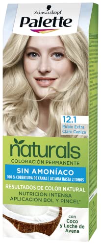 Palette Nc 12.1 Rubio Extra Pincel Es von Schwarzkopf