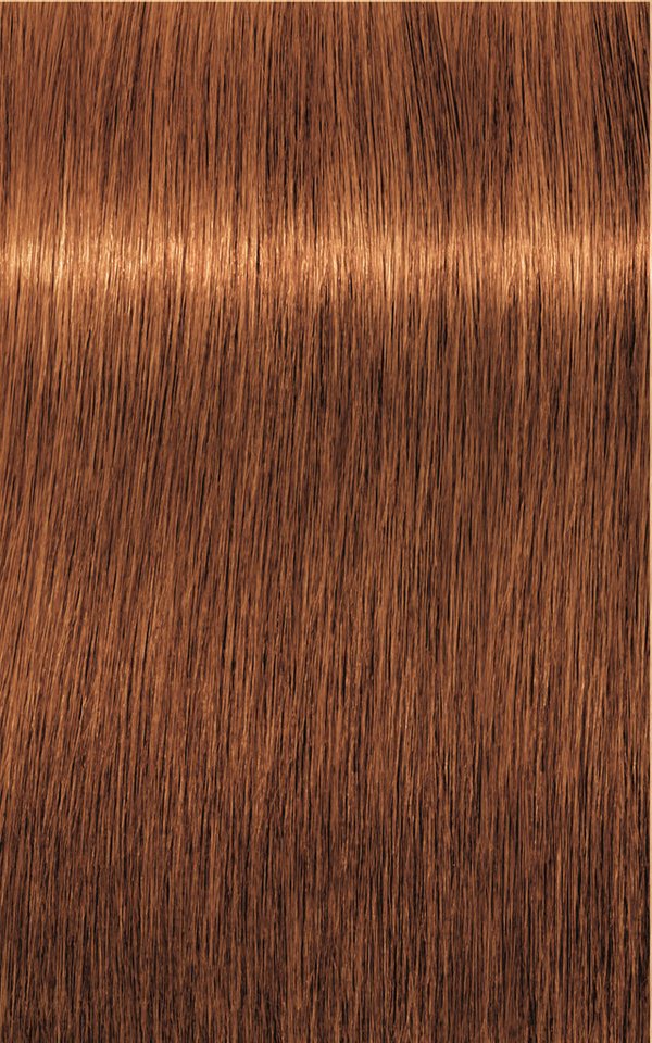 Schwarzkopf Haarfarbe Schwarzkopf Igora Absolutes 7-70 60ml von Schwarzkopf