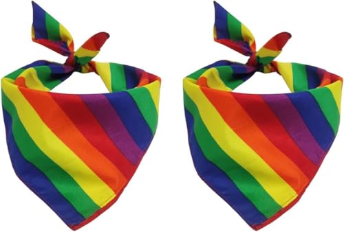 Scinzene Regenbogen Schal Pride Accessoire, Vielseitiges Regenbogen Accessoire für Damen, Buntes Halstuch und Kopftuch für Pride-Events, Partys und Festivals von Scinzene