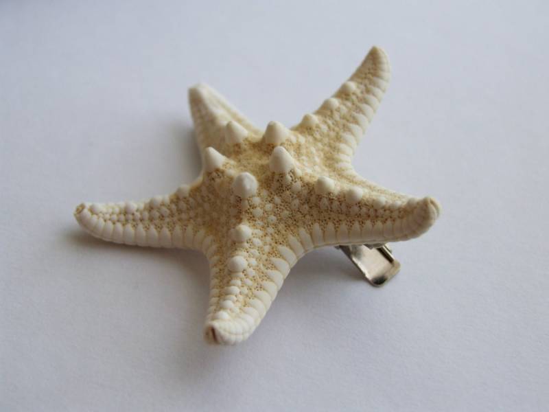 Seestern Haarteil, Strand Inspiriert Haar-Accessoire, Clip, Haarspange, Meerjungfrauen-Liebhaber-Haar-Accessoires von SeashoreStories