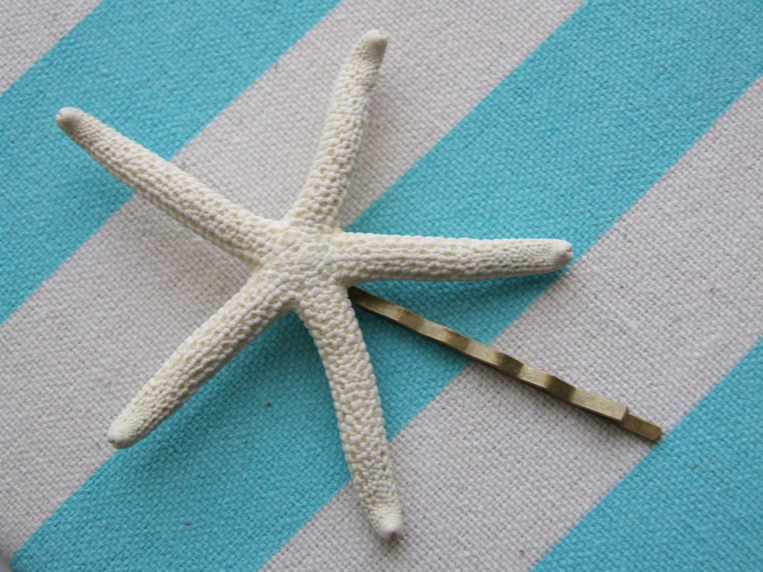 Seestern Haarteil, Strand Inspiriert Haar Accessoire, Weißen Finger Haarklammer, Haar-Accessoire, Meerjungfrau-Liebhaber-Haar-Accessoires Seestern Haarteil, Strand Inspiriert Haar Accessoire, Weißen Finger Haarklammer, Haar-Accessoire, Meerjungfrau-Liebhaber-Haar-Accessoires von SeashoreStories