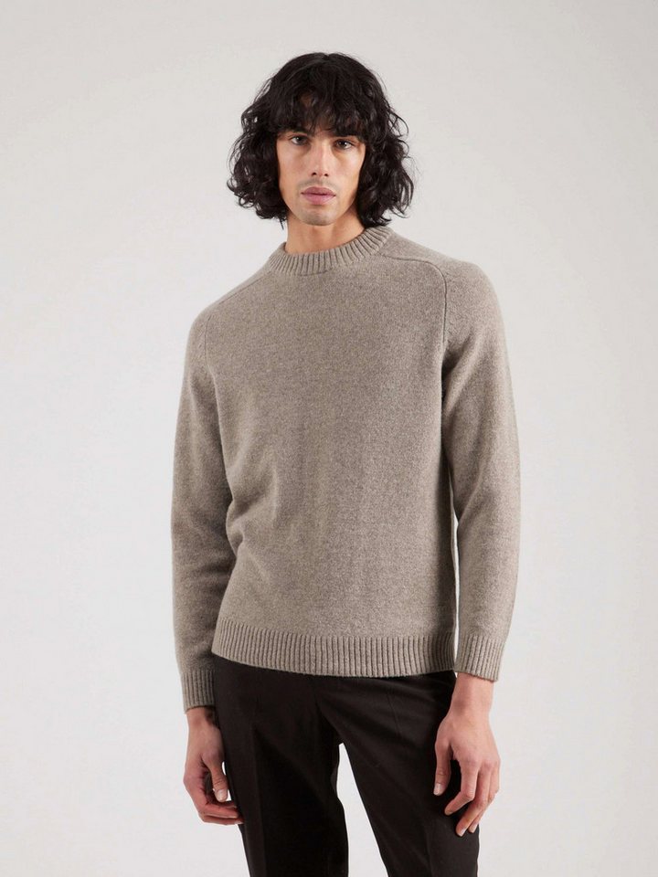 Selected Rundhalspullover SLHNICO (1-tlg) von Selected