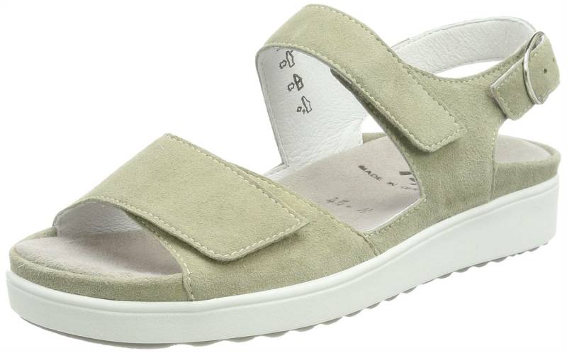 Semler B4015 rost 7,5 von Semler