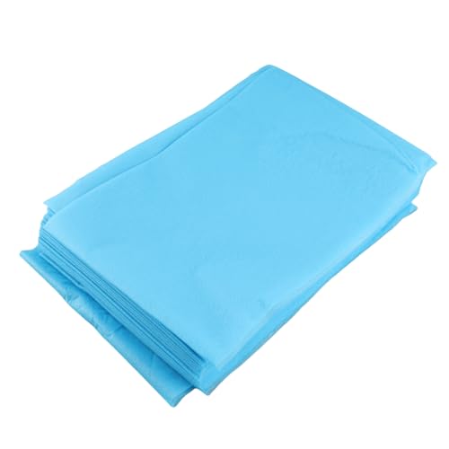 10 Stück 180 * 80 cm Non-Woven Einweg Wasserdichte Bettlaken Massage Schönheit Abdeckung(Blau) von Semme