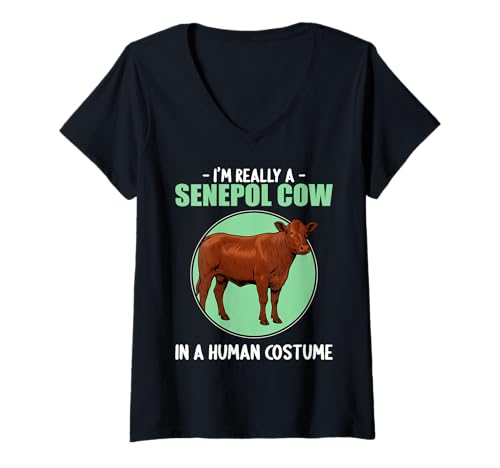 Damen Senepol-Rinder Senepol-Rind T-Shirt mit V-Ausschnitt Damen Senepol-Rinder Senepol-Rind T-Shirt mit V-Ausschnitt von Senepol-Rinder Senepol-Rind Tier Shop