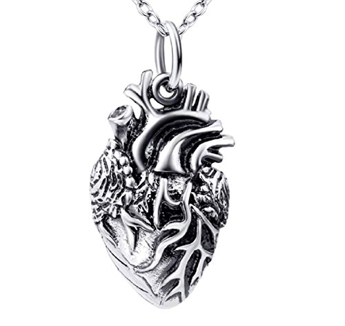 Serebra Jewelry Anatomisches Herz Anhänger Halskette aus 925 Sterling Silber Medizin Herzkette Damen by von Serebra Jewelry