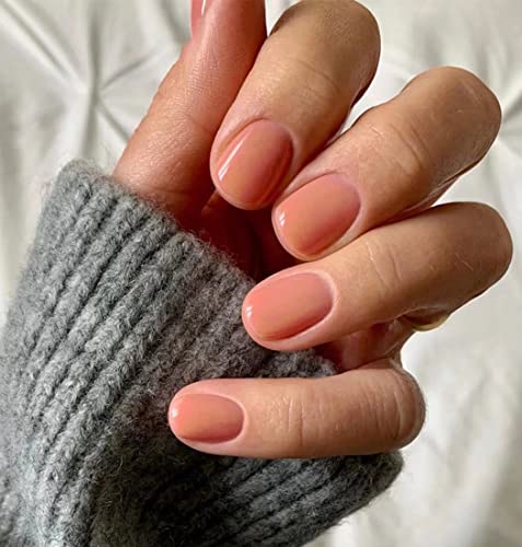 Sethexy Kurze Quadratische Nägel zum aufkleben Glänzend Reine Farbe Press on Nails 24Pcs Acryl Falsche Nägel für Frauen und Mädchen von Sethexy