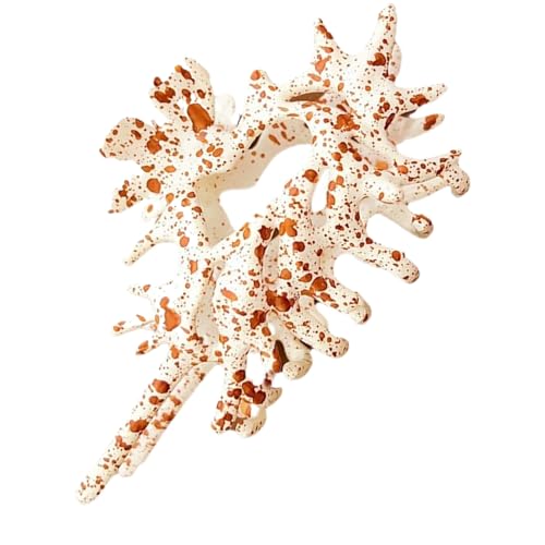 Sghtil Muschelhaarklammer - Damen Haaraccessoire - Dekorative Muschelspange Für Frauen, Hochzeit, Sport, Urlaub, Party von Sghtil