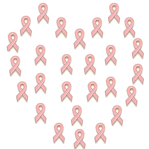 27-teiliges rosa Bandnadel-Set für Frauen, Brustkrebs-Brosche, offizielles Brustkrebsbewusstsein, Anstecknadeln, Schmuck, Geschenke zur Unterstützung (27 Stück) von Sgoeths