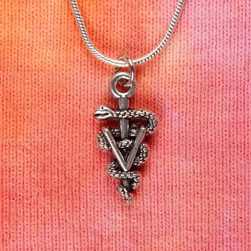 Tierarzt Halskette, V Auf Asklepiusstab, Symbol Tier Arzt Charm Anhänger Doppelseitiges Geschenk Für Männer Oder Frauen Nb Tierarzt Halskette, V Auf Asklepiusstab, Symbol Tier Arzt Charm Anhänger Doppelseitiges Geschenk Für Männer Oder Frauen Nb von ShaktiAndShivaDesign