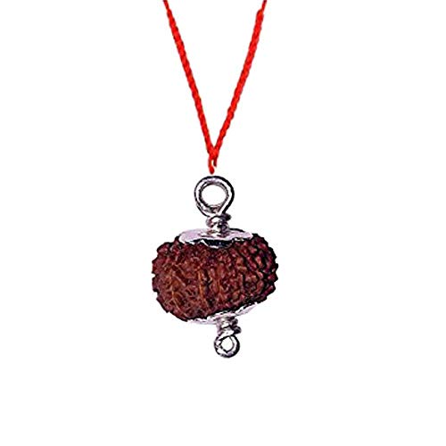 Sharvgun 11 Mukhi Rudraksha aus Indonesien 16mm-18mm Silber Anhänger Labor Certified Rudraksha Anhänger Rudraksha Perlen Rudraksha Samen Rudraksha Halskette Rudrakhsa Mala von Sharvgun