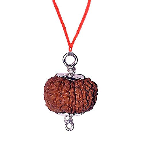 Sharvgun 14 Mukhi Rudraksha Java Lab Zertifizierter Anhänger 17-19 mm Rudraksha Anhänger Rudraksha Perlen Rudraksha Samen Rudraksha Halskette Rudrakhsa Mala von Sharvgun