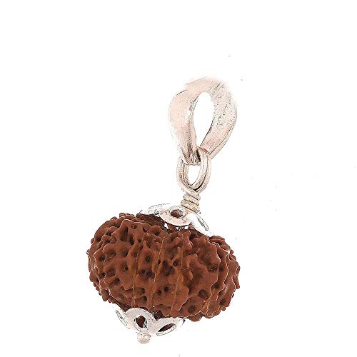 Sharvgun 17 Mukhi Rudraksha aus Indonesien 18mm-20mm Silber Anhänger Labor Certified Rudraksha Anhänger Rudraksha Perlen Rudraksha Samen Rudraksha Halskette Rudrakhsa Mala von Sharvgun