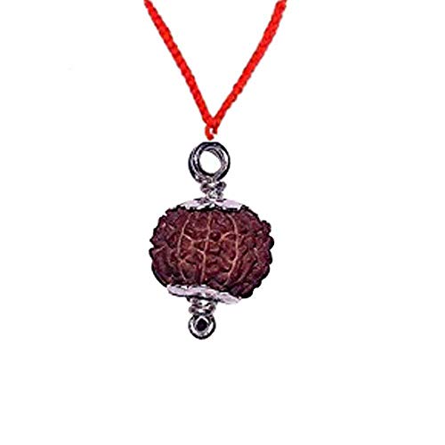 Sharvgun 8 Mukhi Rudraksha Java Silver Capped Anhänger 16-18mm Rudraksha Anhänger Rudraksha Perlen Rudraksha Samen Rudraksha Halskette Rudrakhsa Mala von Sharvgun