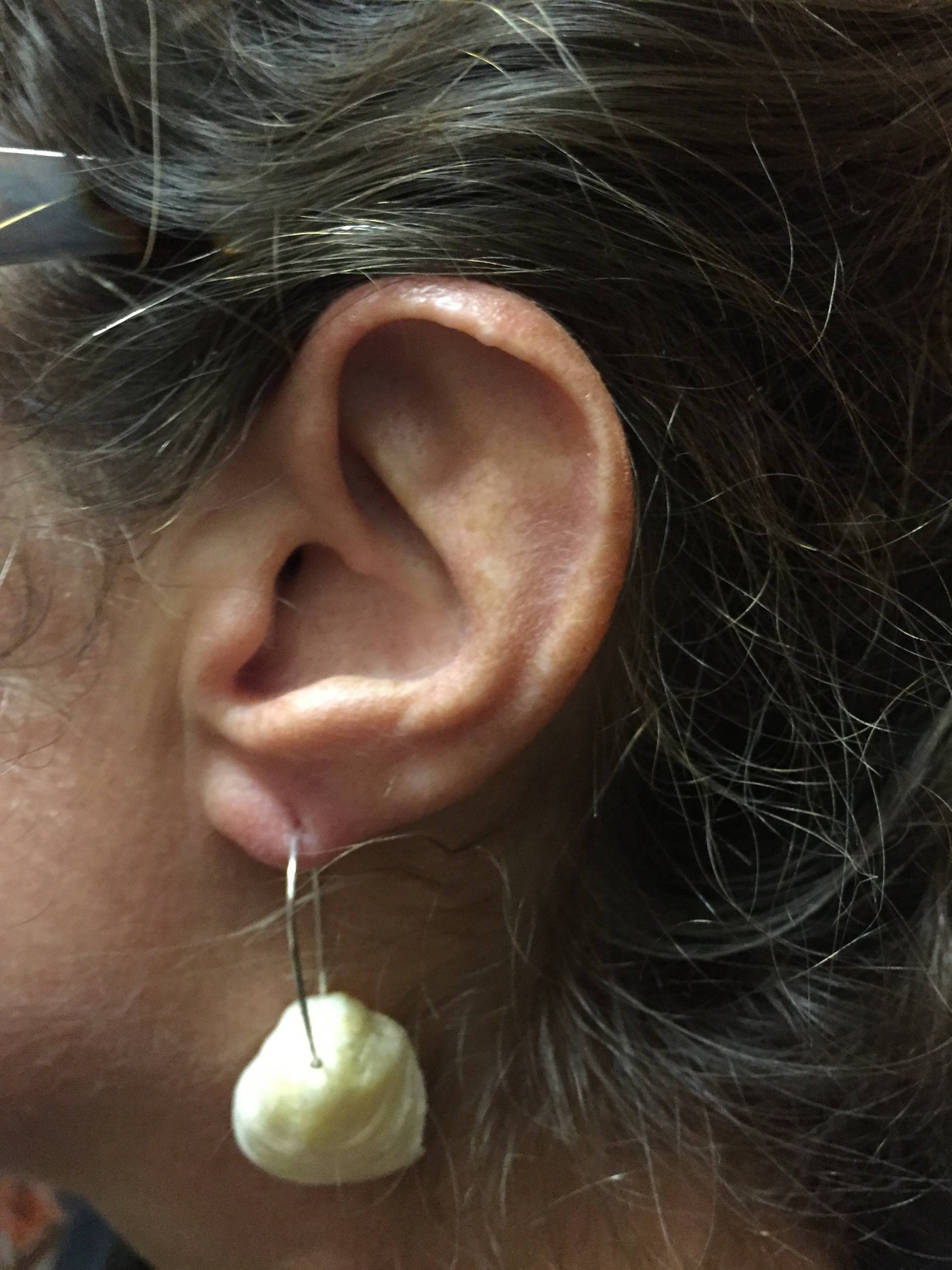 Einzigen Jingle Shell Ohrringe | Hellgelb von ShellDesignCreations