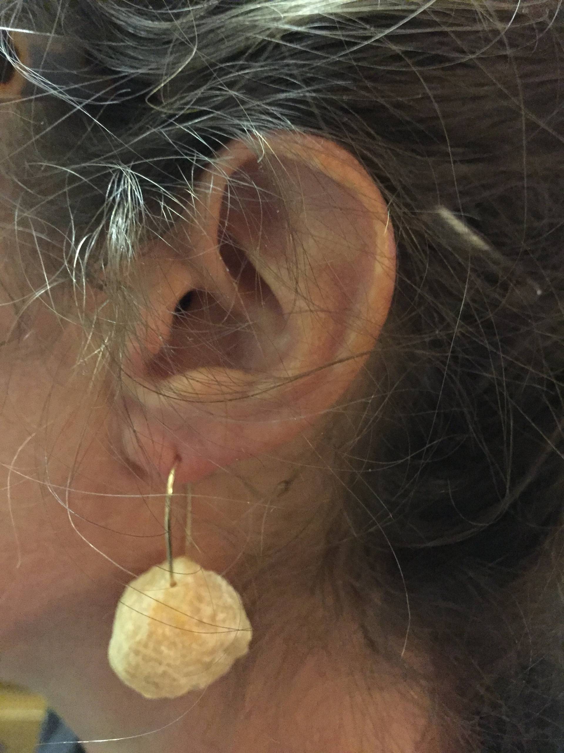 Einzigen Jingle Shell Ohrringe | Hellorange von ShellDesignCreations