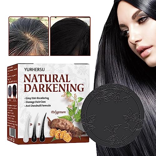 Graues Haar-Shampoo-Riegel | Heshouwu Soap Cover Stückseife für Männer mit grauem Haar - Mane Grey Reverse Bar, verdunkelndes Haar-Komprimierungsshampoo Shichangda von Shichangda