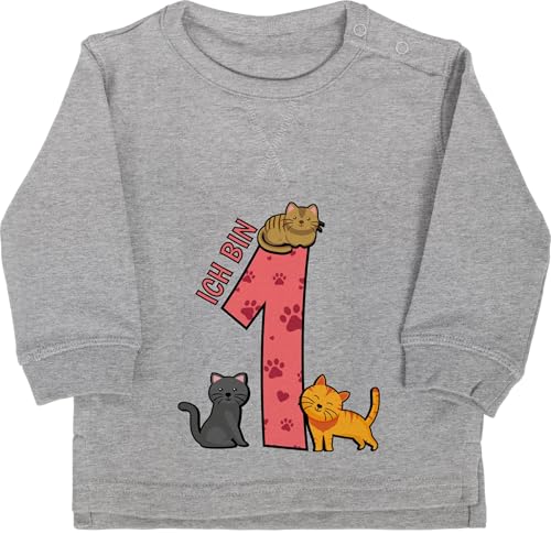 Baby Pullover Jungen Mädchen - 1. Geburtstag - Ich bin eins - 6/12 Monate - Grau meliert - geburtstagsshirt 1 einjährige first langarm jahr 1geburtstag ersten sweater pulli 1.geburtstag geburstags von Shirtracer