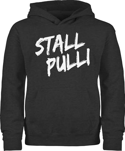 Kinder Hoodie Jungen Mädchen - Pferd - Stallpulli I Geschenk Reiten I Pferde Geschenke I Pferdeliebhaber - 152 (12/13 Jahre) - Anthrazit meliert - pferdepullies pferdepullover reiter stall pullover von Shirtracer