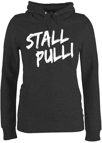 Pullover Damen Hoodie Frauen - Stallpulli I Geschenk Reiten I Pferde Geschenke I Pferdeliebhaber - XS - Anthrazit meliert - reitoberteil pferdepulloverdamen sprüche Pferd stall Pulli von Shirtracer