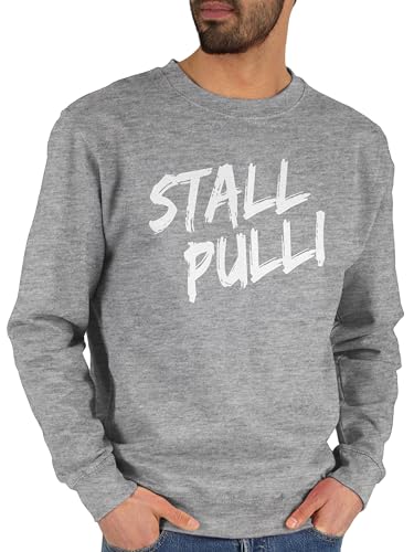 Sweater Pullover Sweatshirt Herren Damen - Stallpulli I Geschenk Reiten I Pferde Geschenke I Pferdeliebhaber - L - Grau meliert - pulli mit pferden sprüche pferd stall pferdespruch reiter reit von Shirtracer