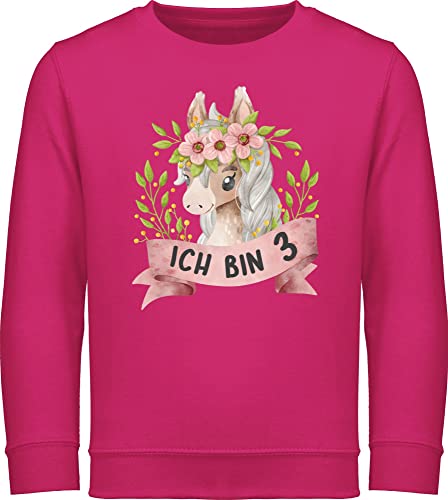 Sweatshirt Kinder Pullover für Jungen Mädchen - 3. Geburtstag - Ich bin drei mit süßem Pferd mit Blumen - 104 (3/4 Jahre) - Fuchsia - 3 jahre junge geburtstags alt pulli kindergeburtstag jahren von Shirtracer