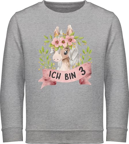 Sweatshirt Kinder Pullover für Jungen Mädchen - 3. Geburtstag - Ich bin drei mit süßem Pferd mit Blumen - 104 (3/4 Jahre) - Grau meliert - langärmlig geburtstagspullover 3 jahre 3.geburtstag von Shirtracer