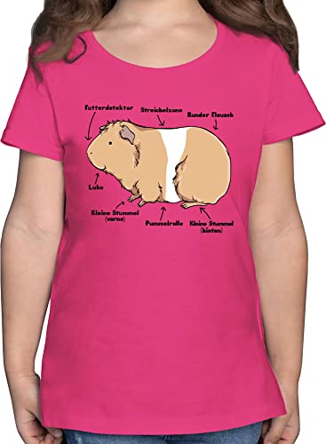 T-Shirt Mädchen - Tiermotiv Animal Print - Meerschwein Anatomie - 164 (14/15 Jahre) - Fuchsia - mädels Tshirt Tiere Shirt Kinder t t_Shirt Maedchen Kind für Shirts tiermotiven meerschweine von Shirtracer