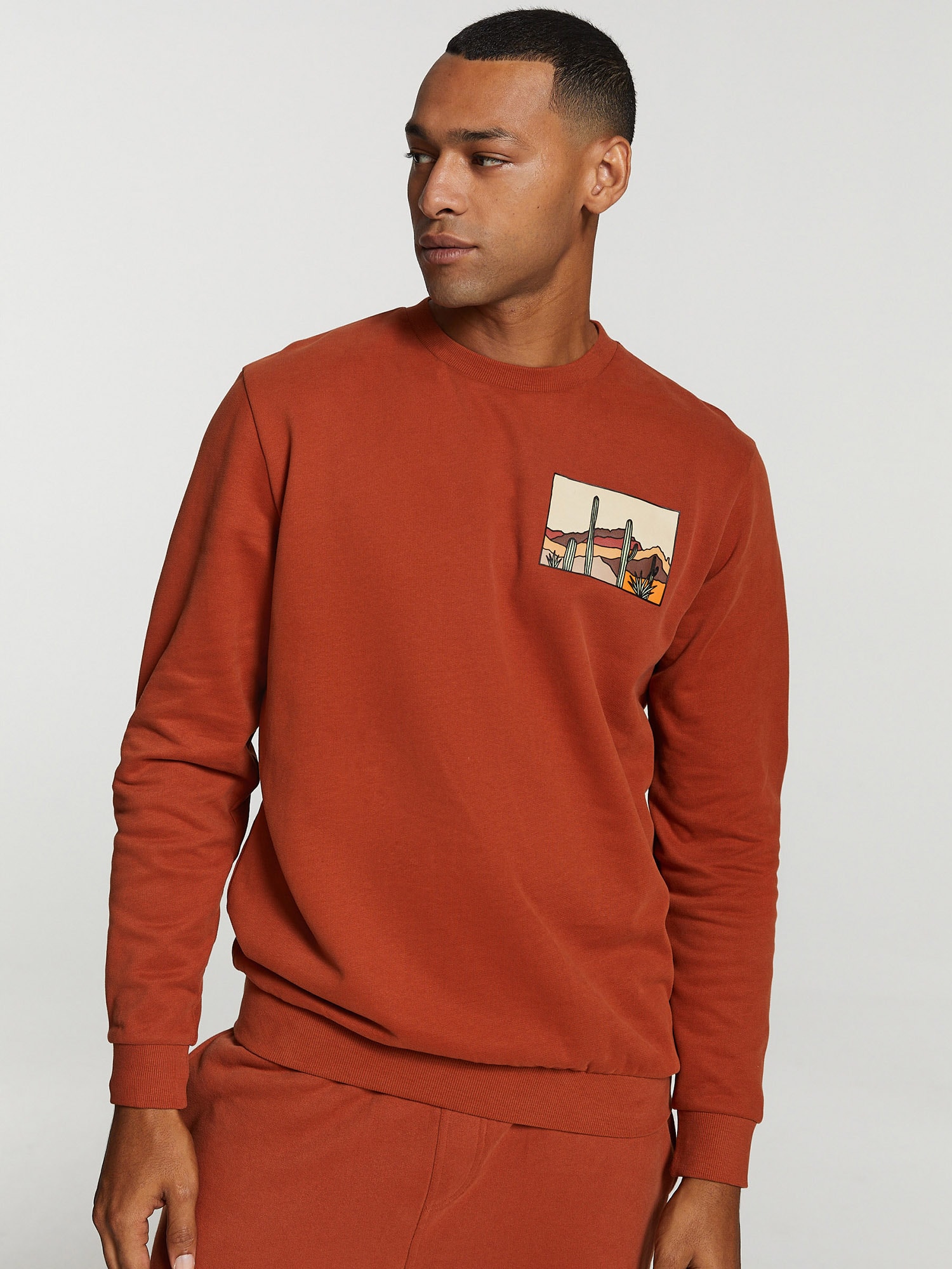 Sweatshirt von Shiwi