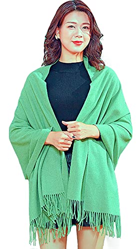 Shmily Girl Damen Pashmina Schal Stola für Frauen Schultertuch Eleganter Schal mit floralem Muster in vielen Farben(Hellgrün) von Shmily Girl