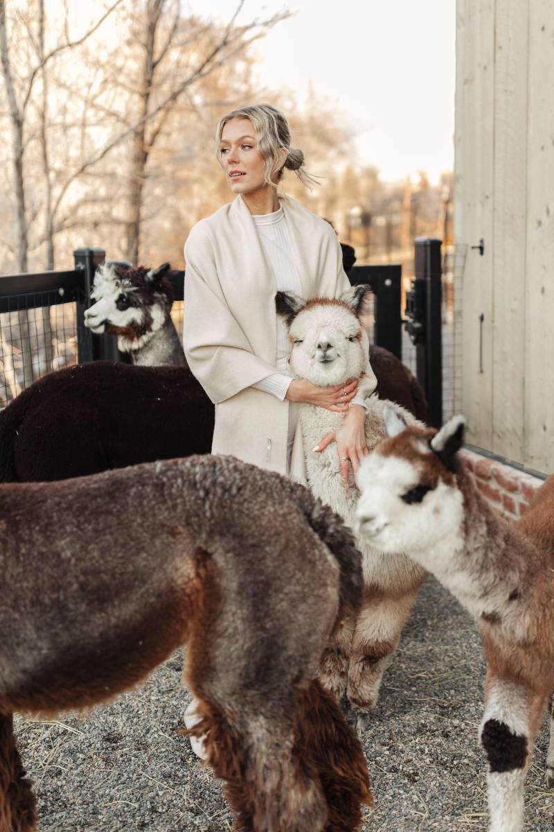 100% Baby Alpaka Sand Oversized Schal von ShopCocun