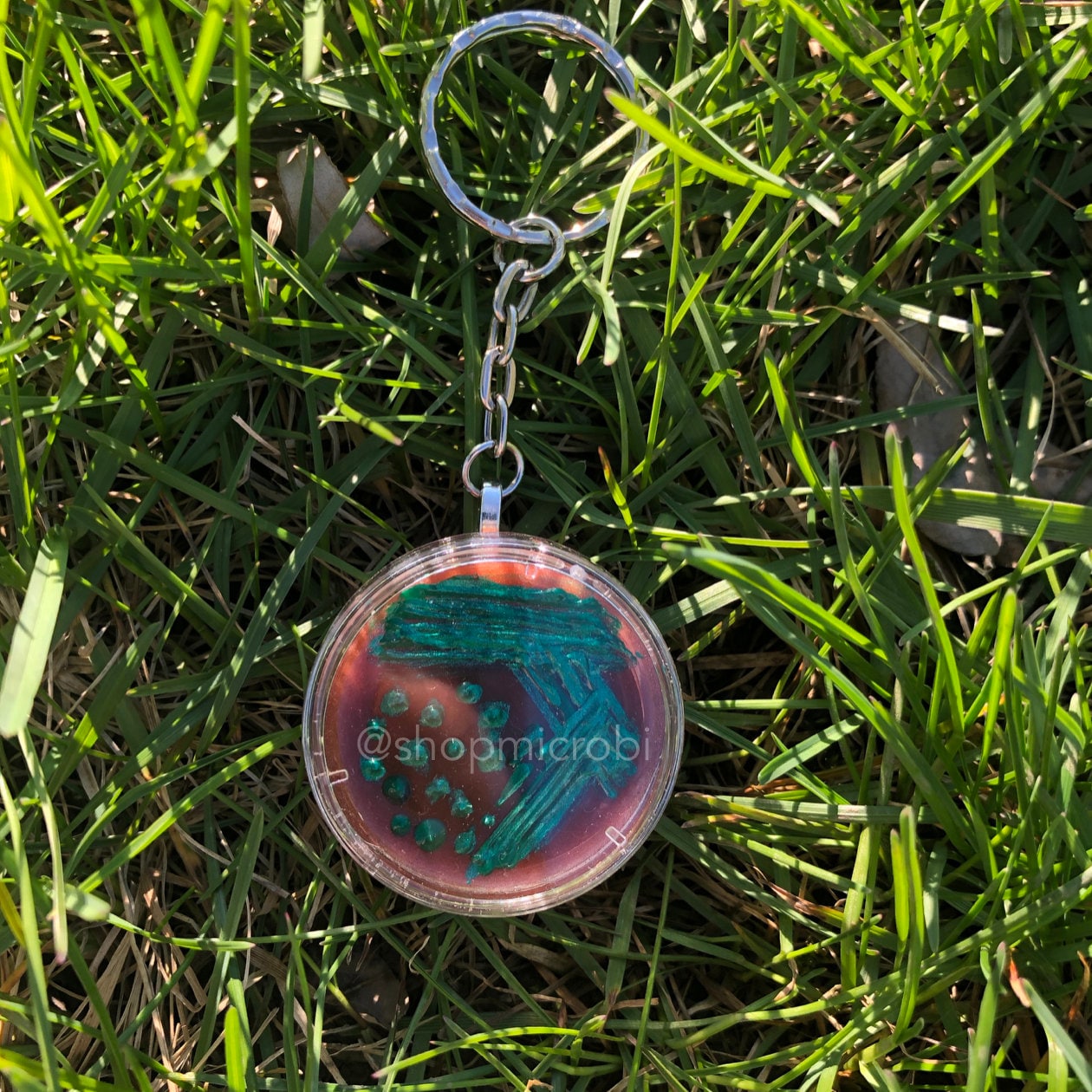 E. Coli Emb Petrischale Schlüsselanhänger/Mikrobiologie Agar Kunst Bakterien Science Lab Geschenk Wissenschafts E. Coli Emb Petrischale Schlüsselanhänger/Mikrobiologie Agar Kunst Bakterien Science Lab Geschenk Wissenschafts von ShopMicrobi
