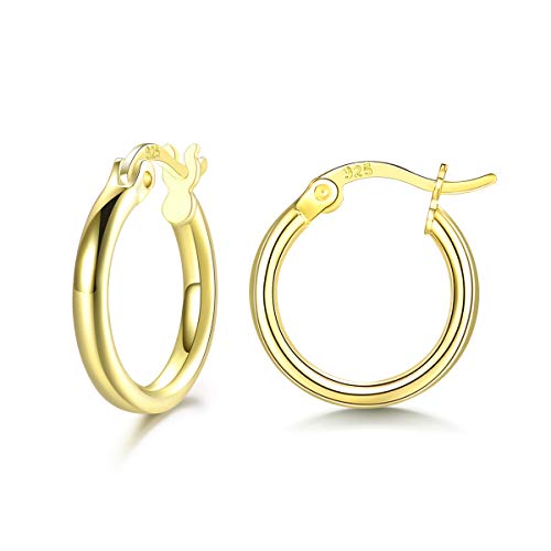 Shuxin Creolen Silber Damen Ohrringe, 925 Sterling Silber Gold Creolen Ohrringe, Durchmesser 20mm Klein Schlafen Kreolen Ohrringe, Hypoallergen Unisex Creolen Ohrringe, Kommt in Schmuck Box von Shuxin