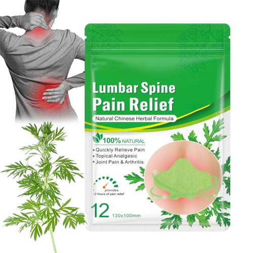 Flexiback - Flexiback Lumbar Spine Pain Relief Patch, Flexiback Natural Back Pain Patch, Pain Relief Patch for Back Sciatica Knee (1 Pack) von SiQiYu