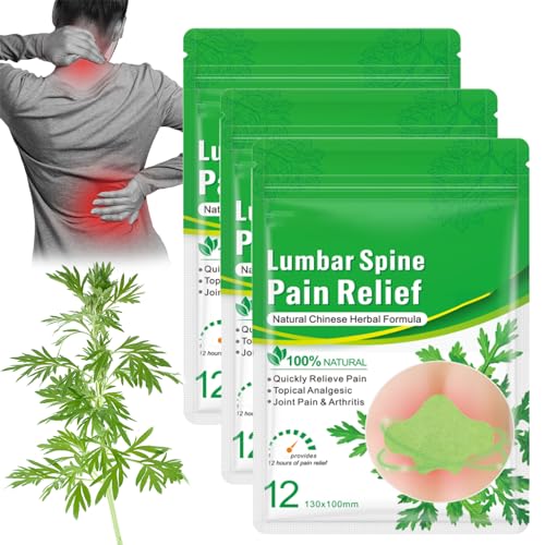 Flexiback - Flexiback Lumbar Spine Pain Relief Patch, Flexiback Natural Back Pain Patch, Pain Relief Patch for Back Sciatica Knee (3 Pack) von SiQiYu