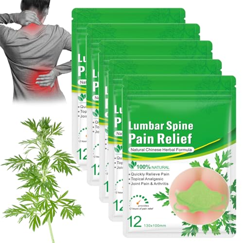 Flexiback - Flexiback Lumbar Spine Pain Relief Patch, Flexiback Natural Back Pain Patch, Pain Relief Patch for Back Sciatica Knee (5 Pack) von SiQiYu