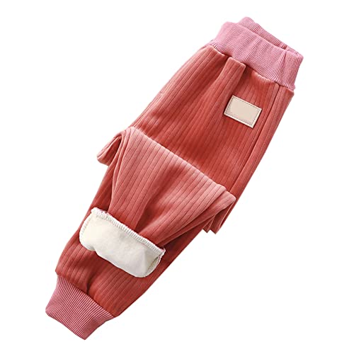 Kinder Fleece Hose Jungen Mädchen Herbst Winter Cord Freizeithose Sweathosen Sporthose Jogginghose (Rot, 122) von Siehin