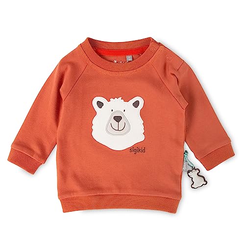 SIGIKID Baby Jungen Langarmshirt Polar Expedition von Sigikid