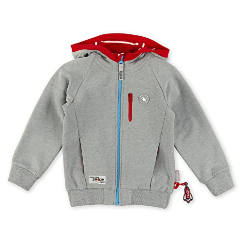 Sigikid Jungen Mini Sweatjacke mit Kapuze aus Bio-Baumwolle Strickjacke, grau, 116 von Sigikid