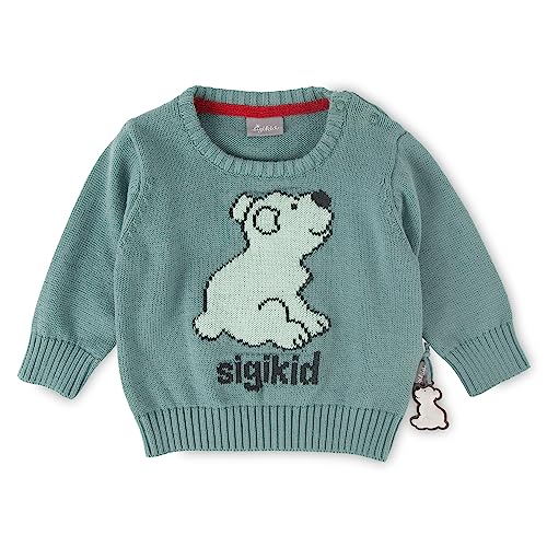 sigikid Baby Jungen Pullover Polar Expedition von Sigikid