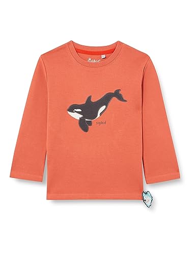 sigikid Mini Jungen Langarmshirt Polar Expedition von Sigikid